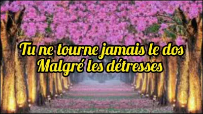 Quelle citation te ressemble le plus ?