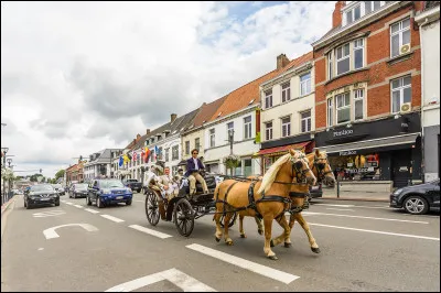 Waterloo est une célèbre ville belge, située en Wallonie, non pas parce qu'elle est peuplée, mais parce que c'est ici que Napoléon a perdu sa dernière bataille. Petit rappel historique, en quelle année cette bataille a-t-elle eu lieu ?