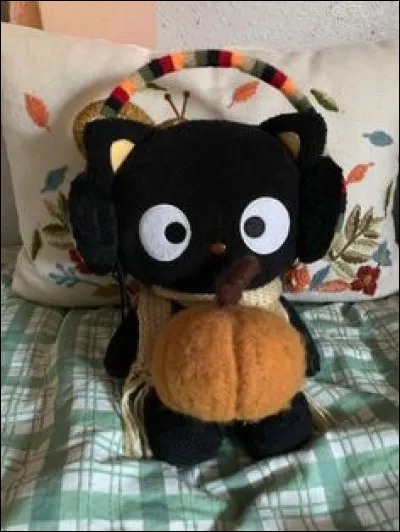 Quel adjectif convient le mieux pour décrire votre chat au quotidien ?