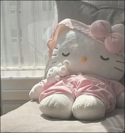 Après le vétérinaire, c'est l'heure du comprimé. Quel type de patient est votre chat ?