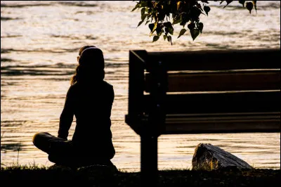 Qui, dans sa chanson, décrit la solitude d'une femme par les mots "Elle met du vieux pain sur son balcon.... Elle vit sa vie par procuration" ?