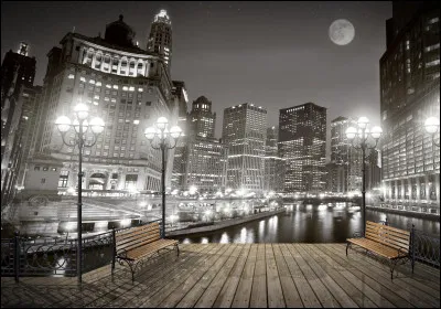 À qui appartient la chanson "Les Villes de grande solitude ♫" ?