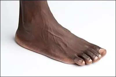 Traduisez "pied" en Vieux Norrois :