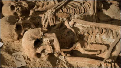 Comment dit-on "os" en Vieux Norrois ?