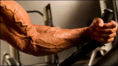 Traduisez "veine" en Vieux Norrois :