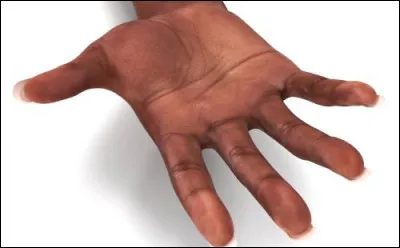 En Vieux Norrois, "paume" se dit...