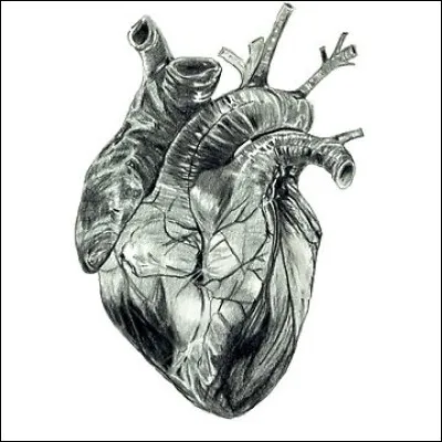 Comment dit-on "c&oelig;ur" en Vieux Norrois ?