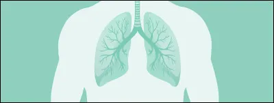 Traduisez "poumon" en Vieux Norrois :