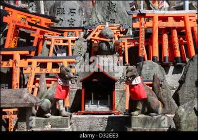 Dans la mythologie japonaise, notre animal est un démon, mais considéré comme un dieu, comment s'appelle t-il ?