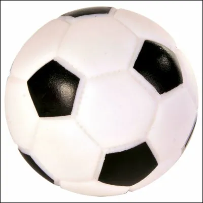 L'un de ces trois personnages porte le nom de notre animal !