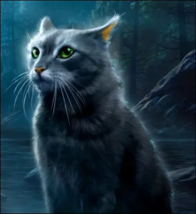 Lequel de ces chats a été lieutenant ?