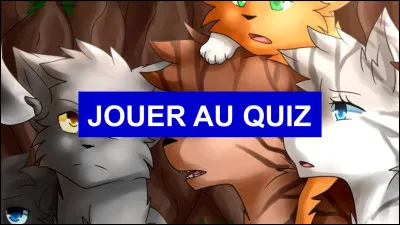 Qui sont les élus du 2e cycle, qui doivent aller là où le soleil sombre dans leau ?