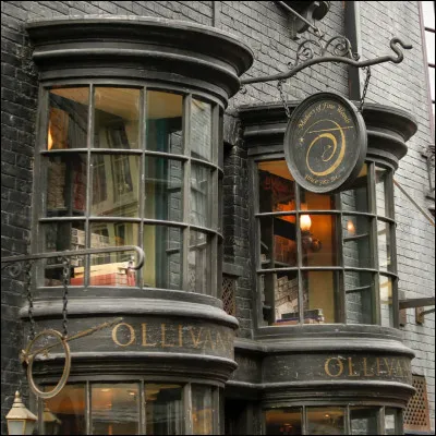 Tu es sur le Chemin de Traverse et tu arrives devant chez Ollivander. Tu rentres et espères que ta baguette sera :