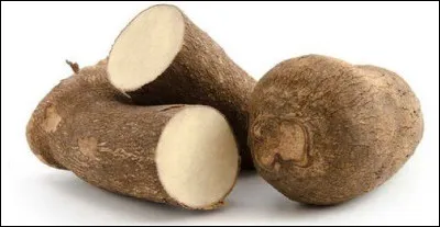 Quel est le nom de ce légume ?