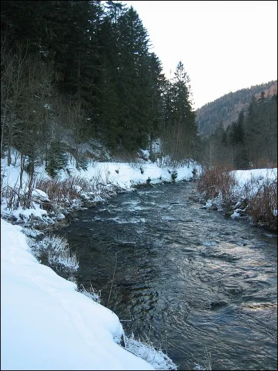 Les esclaves enrôlés dans les légions romaines avaient pour nom...