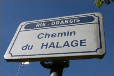 Volcans de boue, énergies fossiles, décharges publiques, digestion du bétail, estuaires pollués, feux de forêts, etc. dégagent aussi beaucoup de méthane : que manque-t-il à cette liste déjà conséquente ?