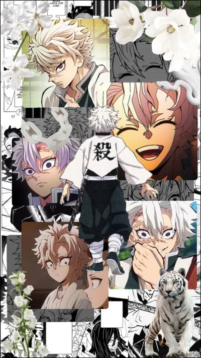 Sanemi Shinazugawa est le Pilier de/du :