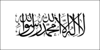 Quel pays utilise ce drapeau ?