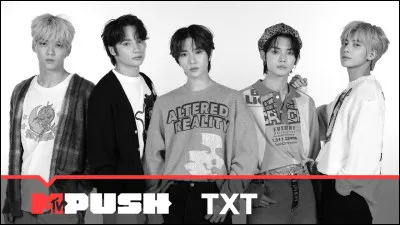 Avec quel artiste le groupe TXT a-t-il collaboré dans la chanson "Back for more" ?