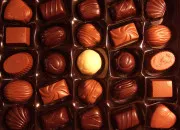 Quiz Quel est cet animal en chocolat ?