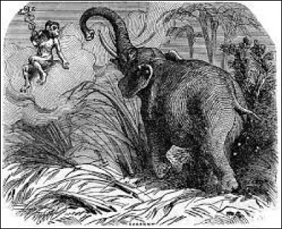 À qui doit-on la fable intitulée "L'Éléphant et le Singe de Jupiter" ?