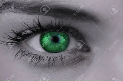 De quelle couleur sont tes yeux ?