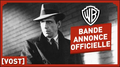 "Le Faucon maltais" est un film dans lequel Marilyn Monroe tient un rôle.