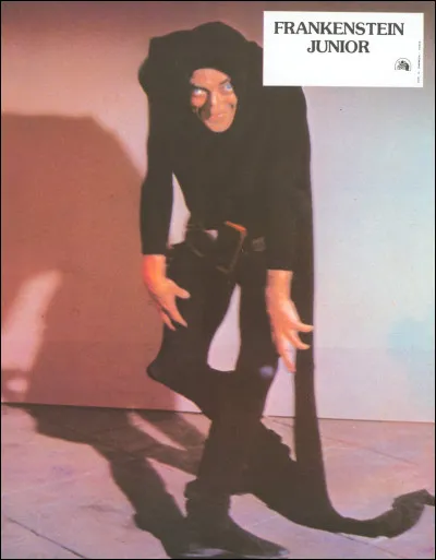 "Frankenstein Junior" est un long-métrage réalisé par Mel Brooks.