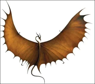 Quel est ce dragon ?