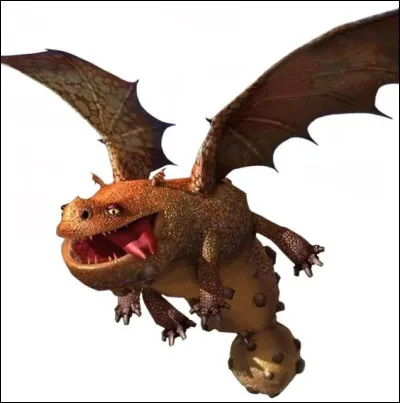 Quel est ce dragon ?