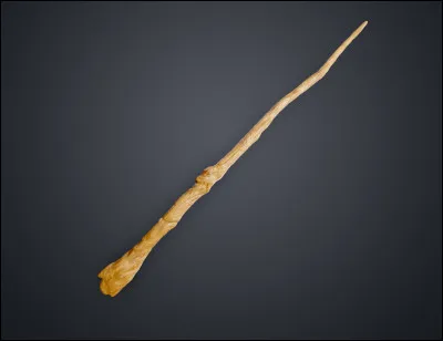 Quel est ton sort préféré ?