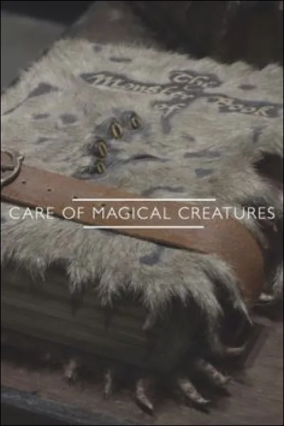 Quel professeur remplace Hagrid au poste de professeur de soins aux créatures magiques ?