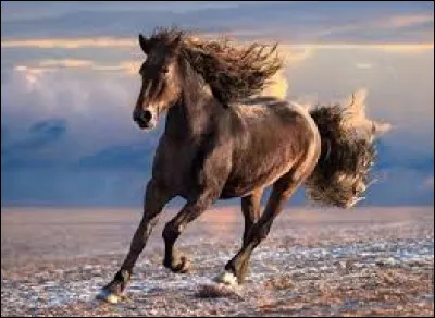 Complétez ce proverbe : "Chassez le naturel, il revient...