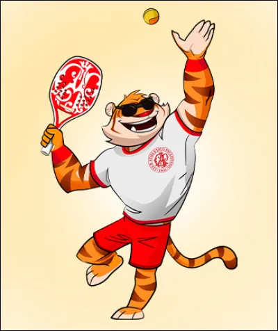 Quelle raquette utilise-t-on pour jouer au beach tennis ?