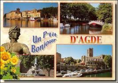 Je vous propose de commencer notre balade sur les bords de la Méditerranée, à Agde. Surnommée parfois "la perle noire de la Méditerranée" et bordée par la canal du Midi, cette ville se situe dans le département ...
