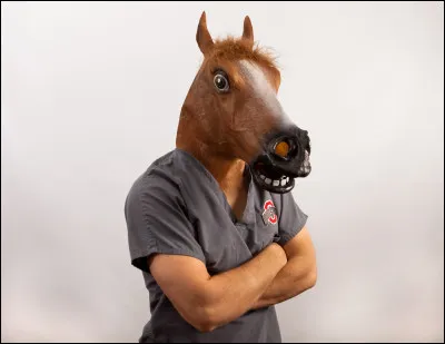 Comment son fidèle compagnon (qui prend souvent les commandes suite aux nombreuses demandes de son amie) s'appelle-t-il ?