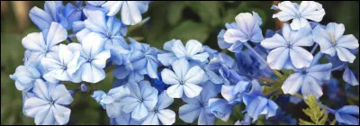 Quel est le surnom de la Terre ?