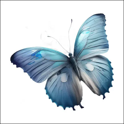 Quel était le nom d'apprentie de Papillon ?