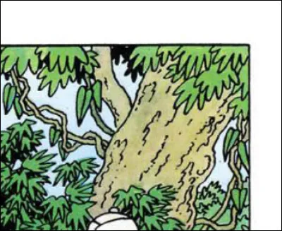 Beaucoup de verdure, dans cette aventure. Laquelle ?