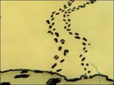 "Hé ben, on n'est pas sortis du sable, hein ?"*