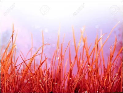 À quel écrivain doit le roman "L'Herbe rouge" ?