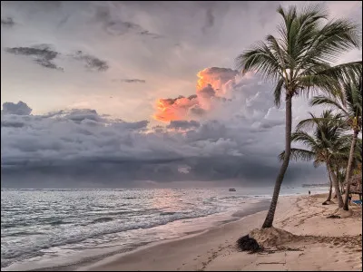 Quel chanteur voit "la mer danser le long des golfes clairs" ?