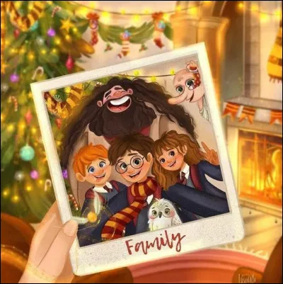 De quelle famille fais-tu partie ? (1)