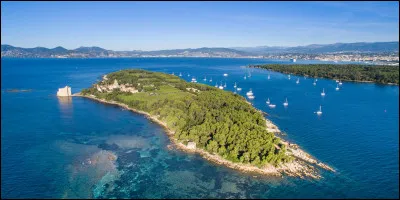 Si tu devais rester coincé sur une île déserte, quel objet trouverais-tu indispensable ?