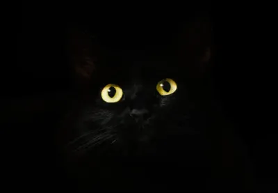 As-tu peur du noir ?