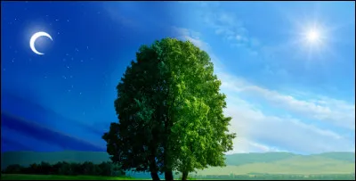 Penses-tu être un animal nocturne ou bien diurne ?