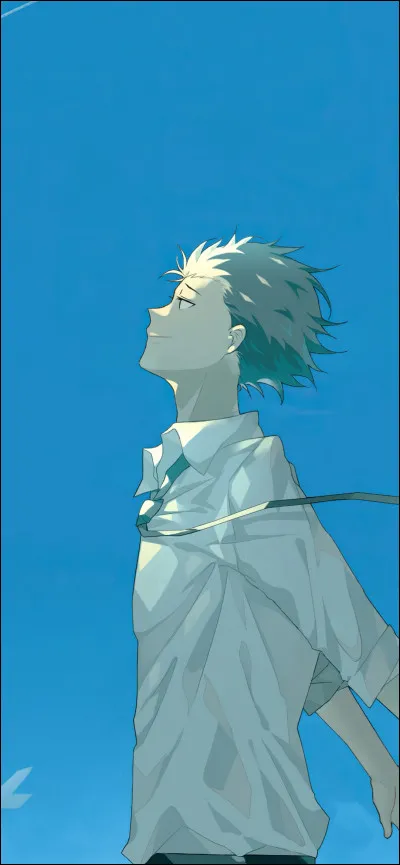 De quel animé vient-il ?