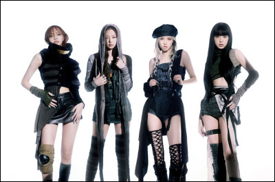 En quelle année le célèbre groupe Blackpink a-t-il commencé sous YG Entertainment ?