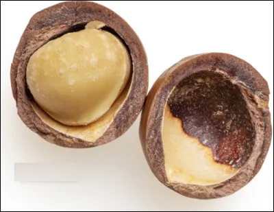 Quelle est cette variété de noix originaire d'Australie formée d'une amande à texture crémeuse enfermée dans une coque ronde ?