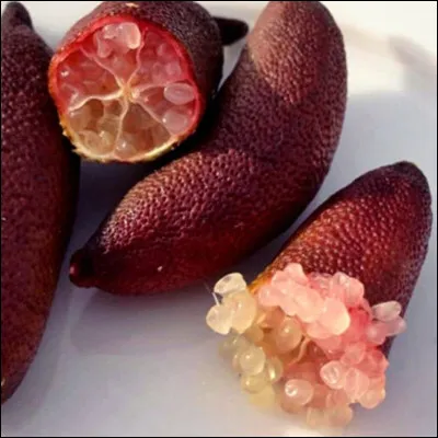Quelle est cette variété de citron d'exception dont la pulpe est composée de billes juteuses, croquantes et délicieuses ?